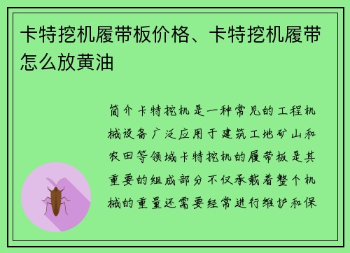 卡特挖机履带板价格、卡特挖机履带怎么放黄油